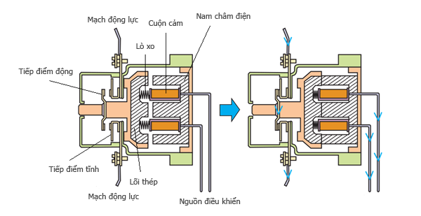 Cấu tạo của Contactor